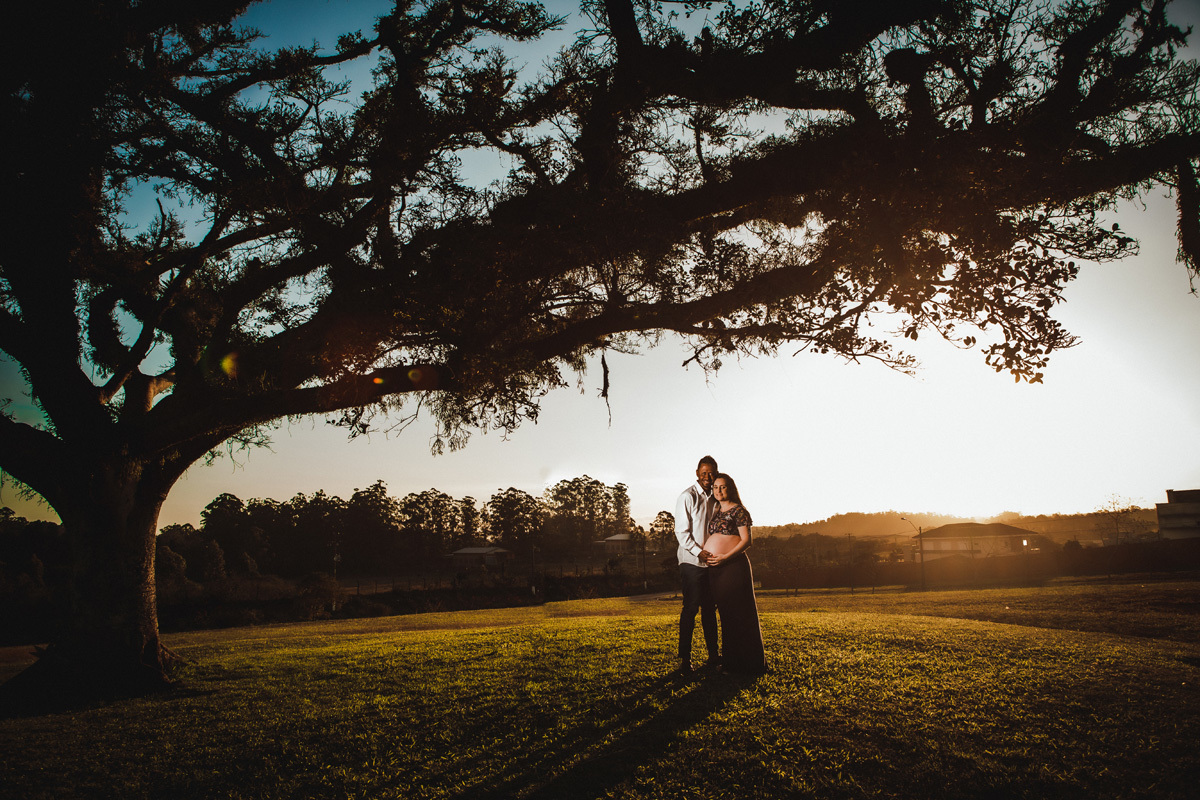 book de gestante com fotografia do casal em baixo de uma árvore em contra luz