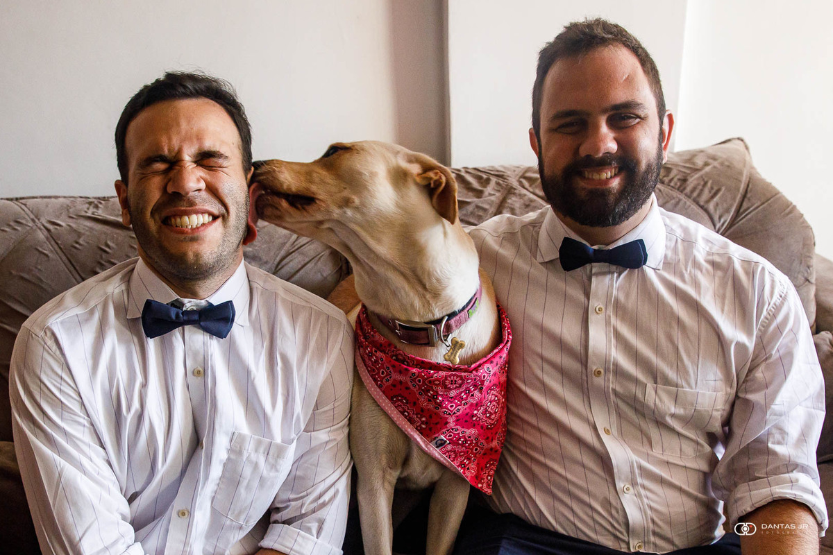cachorro lambendo a orelha de noivo gay