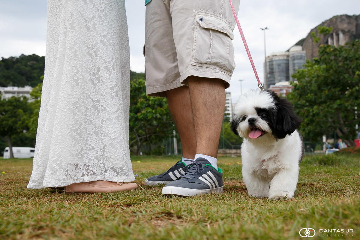 pés de casal namorando com cachorro de estimação num campo por Dantas Jr. Fotografia