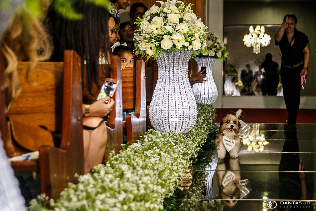 cachorro entrando com alianças em igreja em cerimônia de casamento