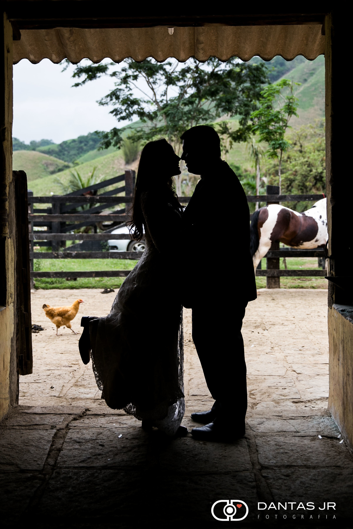silhueta de noivos em trash the dress com cavalos e galinhas