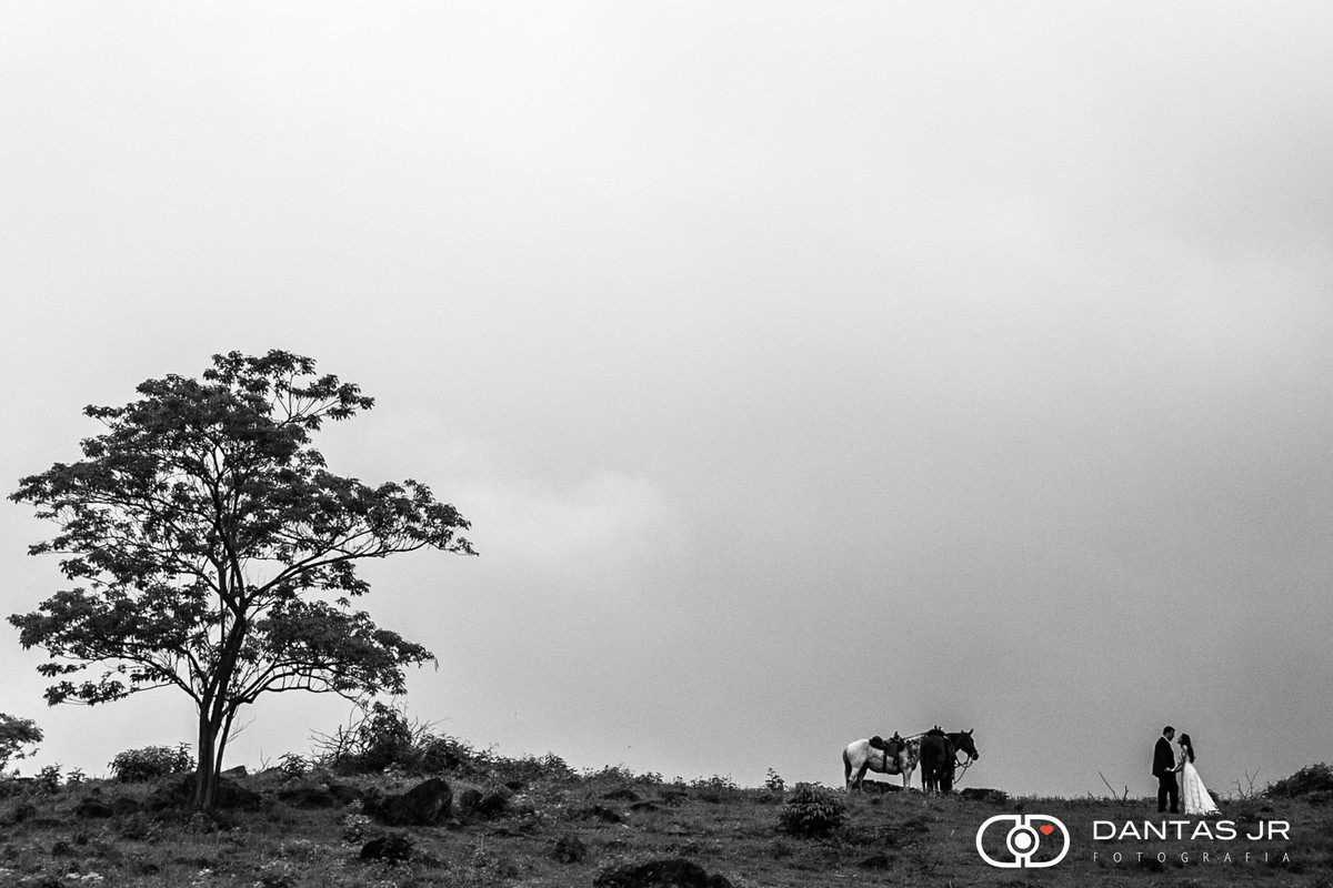 casal se beijando no alto da montanha com arvore em trash the dress