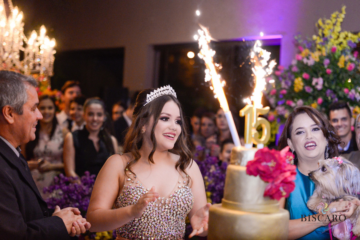 Festa de 15 anos (Fotos e vídeo por Bíscaro Fotofilme)