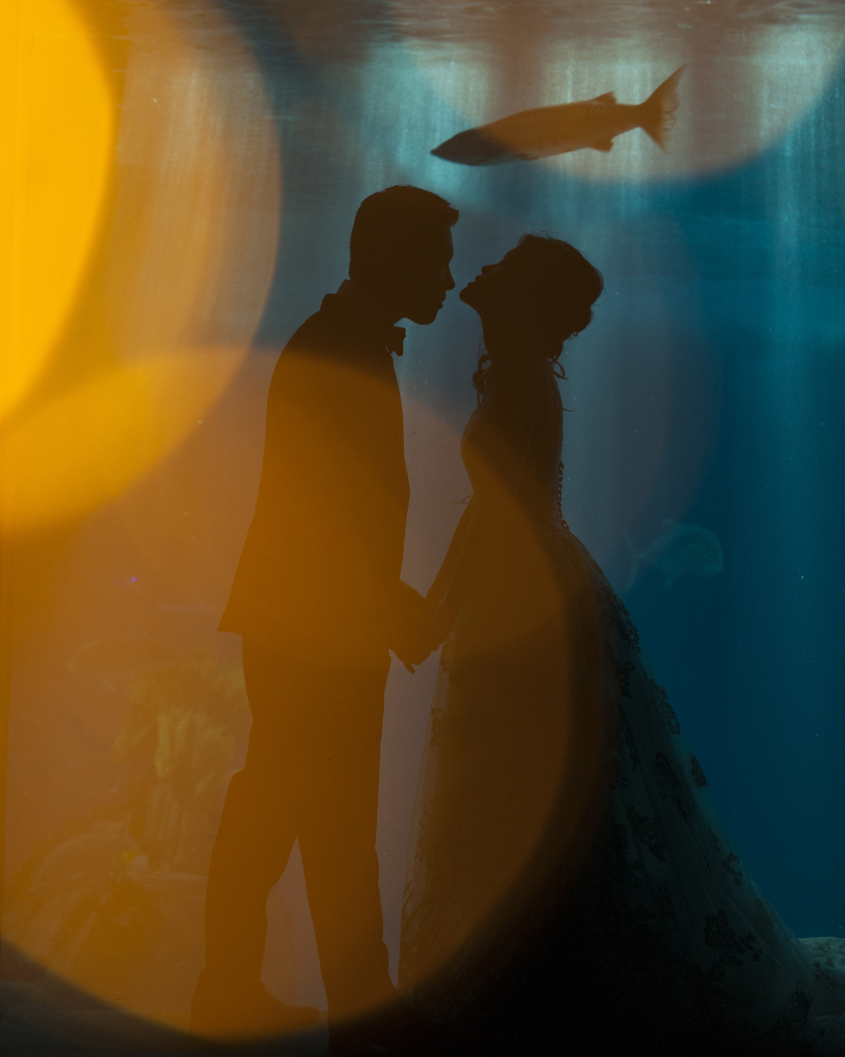 Casamento em Aveiro; Melhor fotografo de portugal; Melhor Fotografo de Aveiro; Fotografia de Casamento; Noivos; Casamento; Noivado; Portugal; Quinta de Casamento; Intimo; Cor; Wedding; Daniel Ribeiro; Solteiros; Casal; Couple; Oceanario; Lisboa