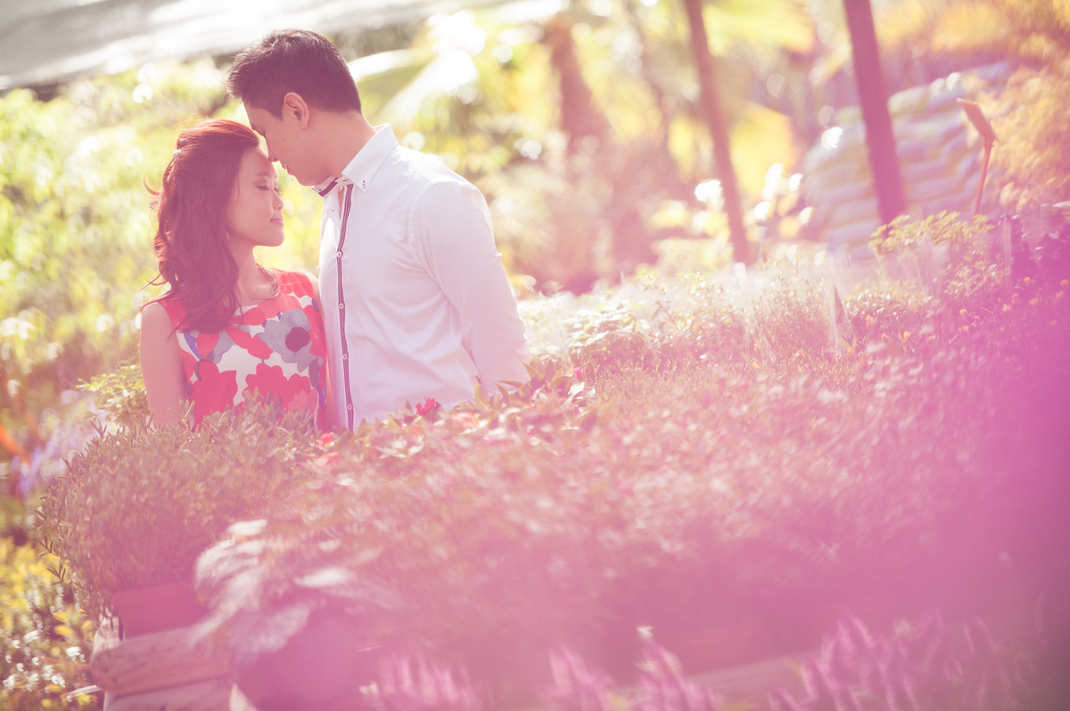 Best Portuguese Photographer; Casamento em Portugal; Casamentos; Noivas; Noivado; Solteiros, Sessão Solteiros; Melhores fotógrafos de Portugal; Lisboa; Melhor fotografo Aveiro; Wedding Dress, Vestido de Noiva, Wedding Portugal; Wedding Destination