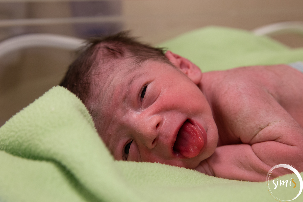 Fotografo Vacaria
Fotografia Vacaria
Foto Vacaria
Simi'S Fotografia
Fotografia Parto