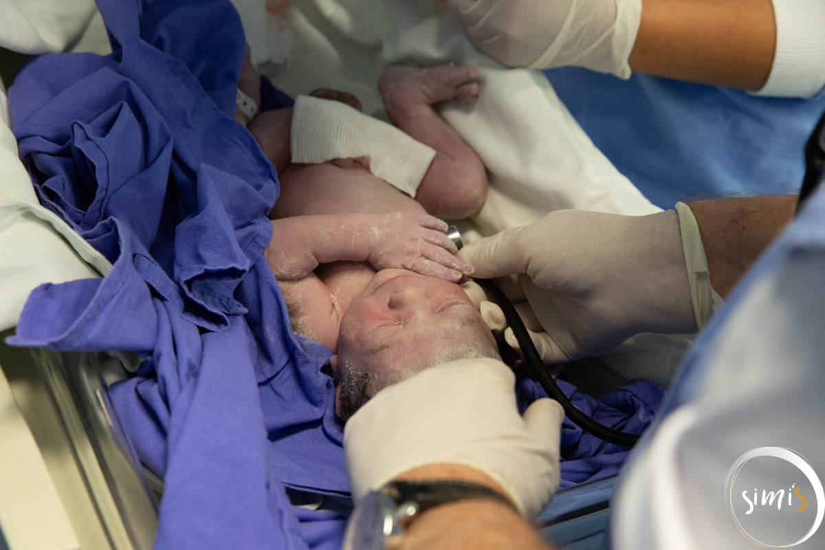 Parto Vacaria
Nascimento Vacaria