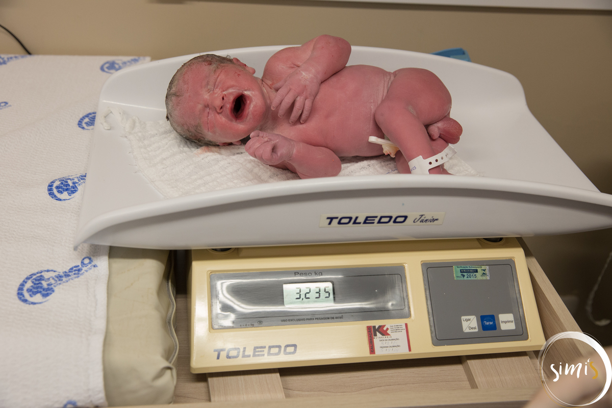 Fotógrafo de Parto
Fotógrafo de Nascimento
Fotografo de Parto
Fotografo de Nascimento
Simi'S Fotografia
SimiS Fotografia