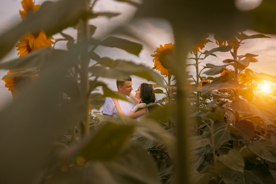 Foto feita com os noivos em uma plantação de girassol