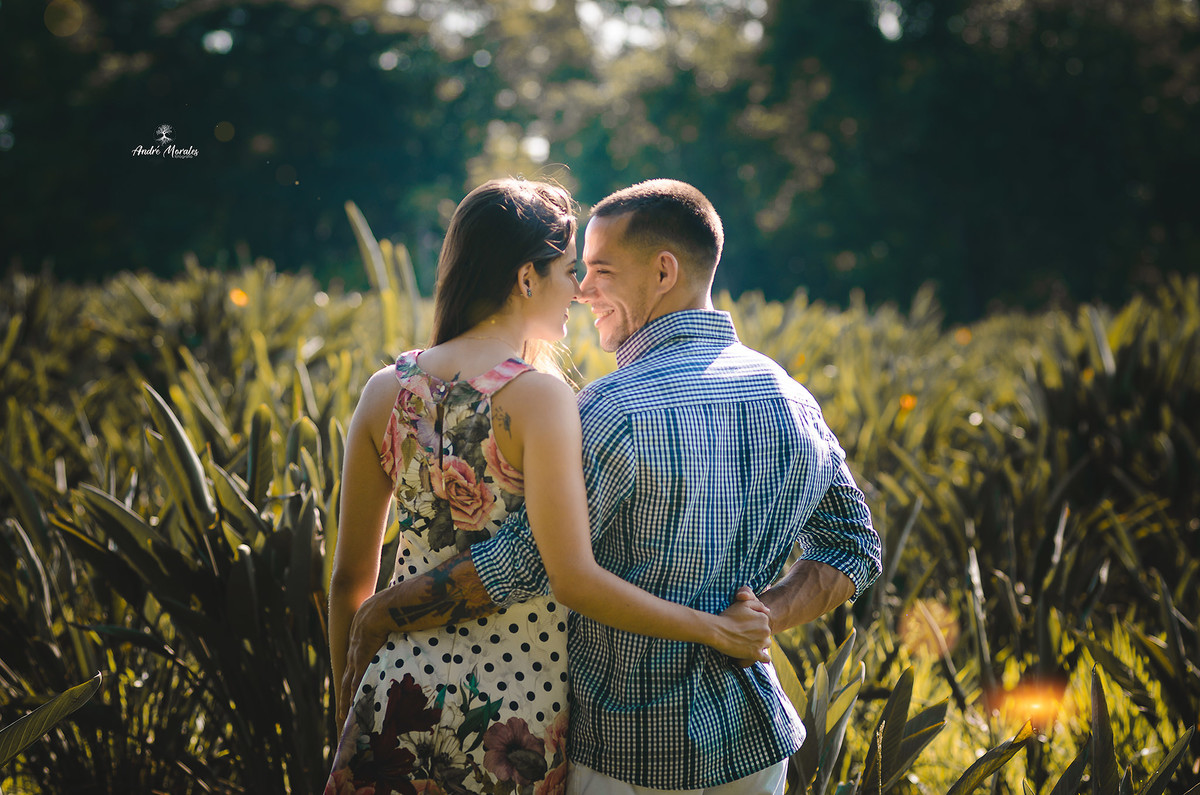 ensaio holambra casal