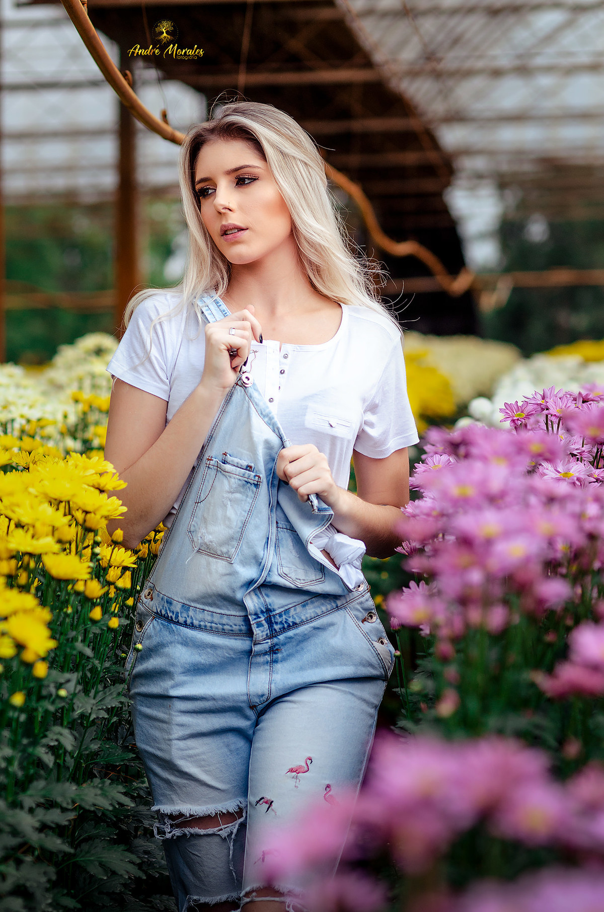 rosas ao ar livre em ensaio fotografico sorocaba