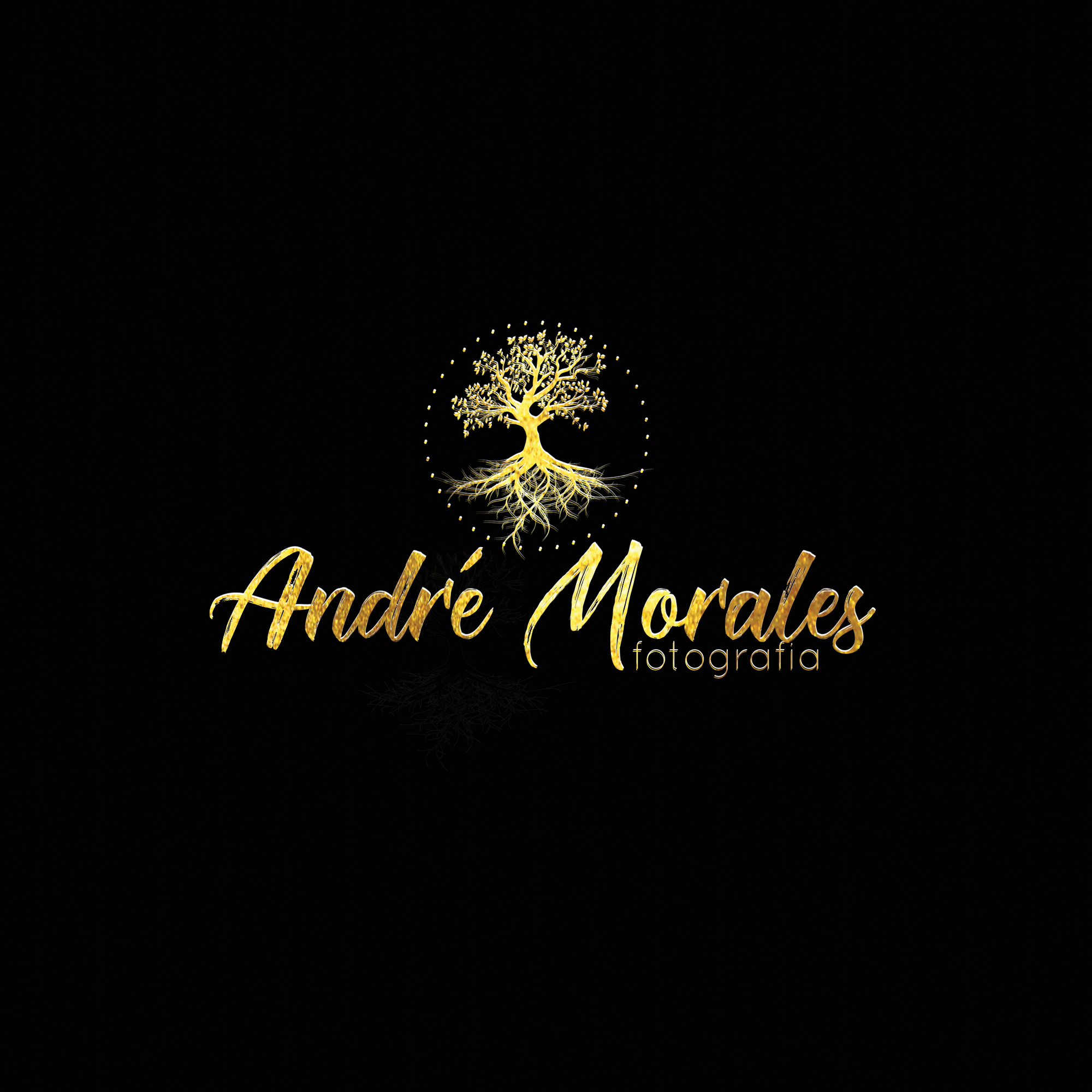 Contate André Morales Fotógrafo - Ensaio Fotográfico Sorocaba, Gestante, Feminino, Casamento ...