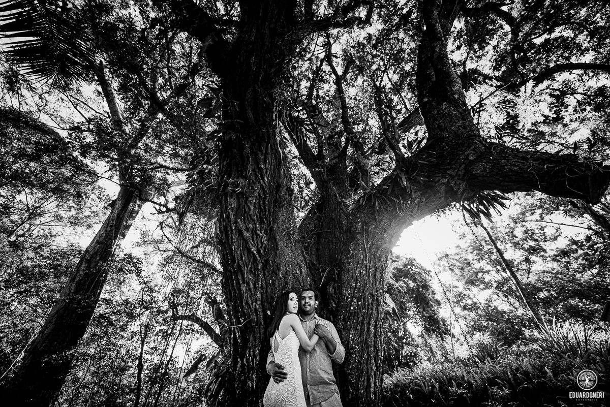 ensaio de pre wedding realizado na fazenda monte belo em ribeirão claro no paraná, fazenda de café pre casamento, noivos, fotografia de casamento