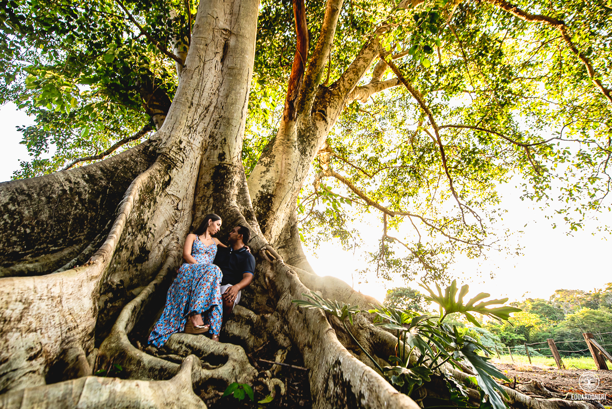 ensaio de pre wedding realizado na fazenda monte belo em ribeirão claro no paraná, fazenda de café pre casamento, noivos, fotografia de casamento