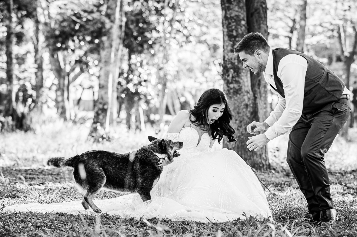 Ensaio Trash the Dress com cachorro ou pet realizado em Bandeirantes no Paraná, uma parte do ensaio foi realizado na UENP, e a outra parte realizado nos dois santuário da cidade, Santa Terezinha e São Miguel Arcanjo