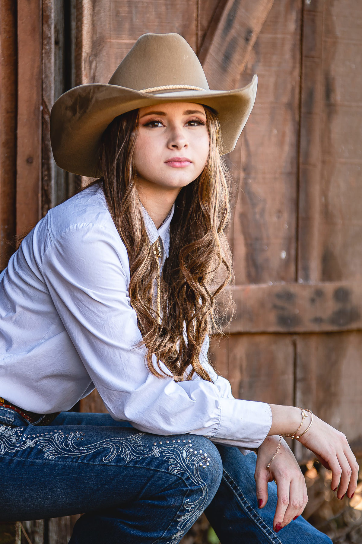 ensaio de 15 anos como tema country na fazenda