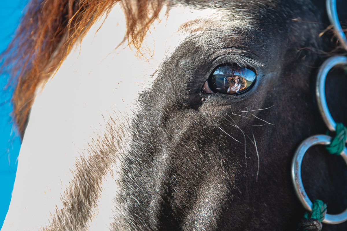 ensaio debutante com o reflexo da debutante nos olhos do cavalo
