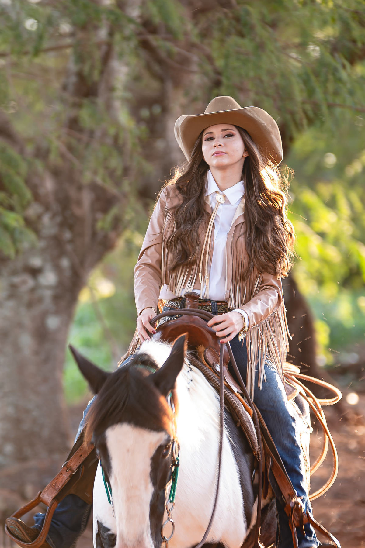 ensaio de 15 anos como tema country na fazenda