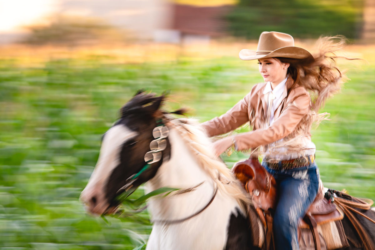 Foto em Panning com cavalo em velocidade