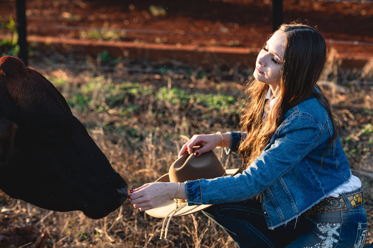 ensaio de 15 anos como tema country na fazenda