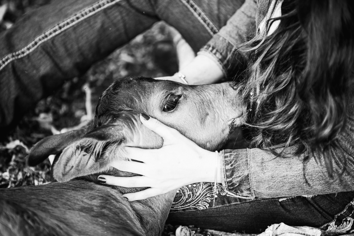 ensaio de 15 anos como tema country na fazenda