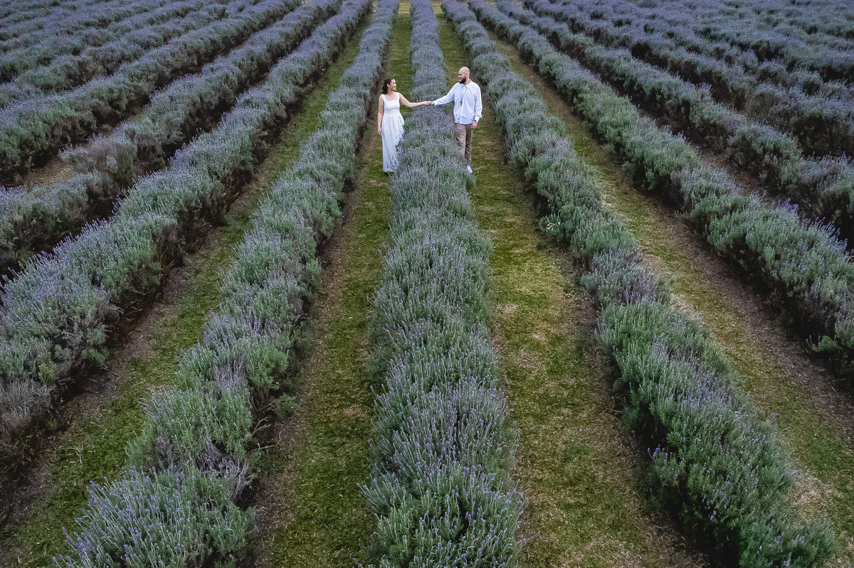 Ensaio pré-wedding de Jaqueline e Danyllo no Lavandário Het Dorp em Carambeí/PR. Um momento de amor, fé e alegria em meio às lavandas, celebrando um futuro casamento abençoado.