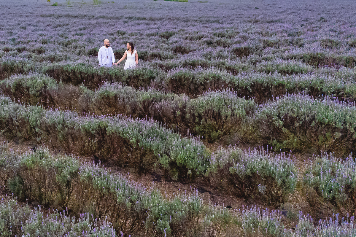 Ensaio pré-wedding de Jaqueline e Danyllo no Lavandário Het Dorp em Carambeí/PR. Um momento de amor, fé e alegria em meio às lavandas, celebrando um futuro casamento abençoado.