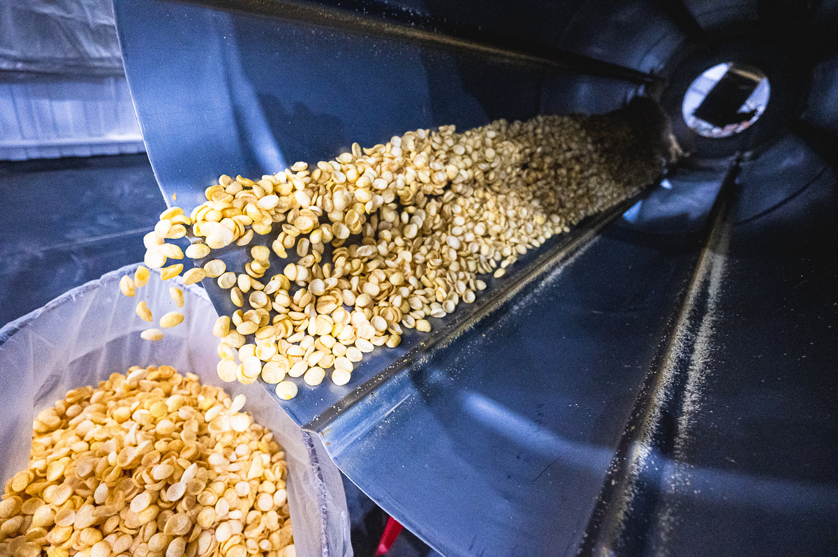 Processo de produção dos Biscoitos Edluma com controle de qualidade em todas as etapas, da seleção dos ingredientes ao preparo final, garantindo sabor, textura e segurança alimentar.