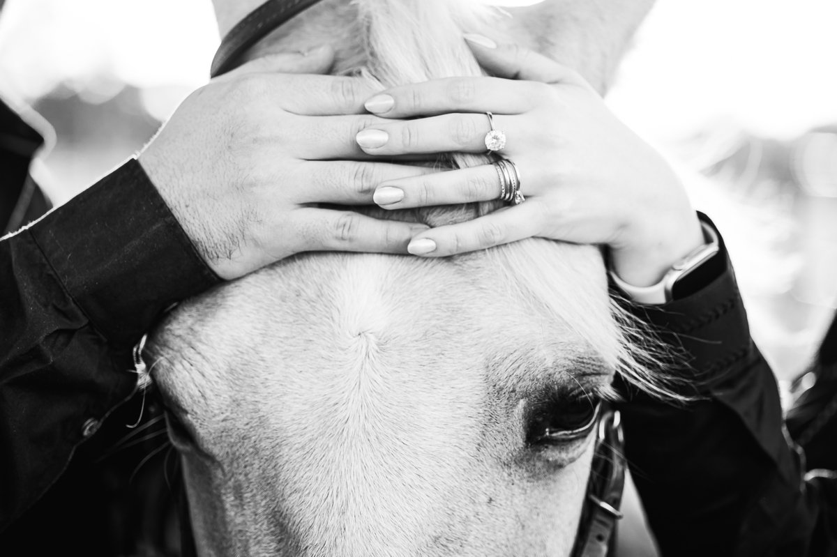 Ensaio pré-casamento country com cavalos e cenário natural