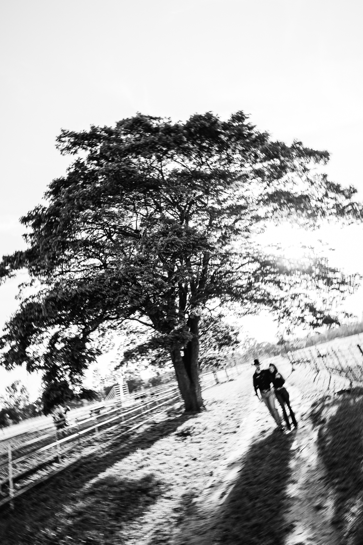 Ensaio pré-wedding com temática country e muito romantismo
