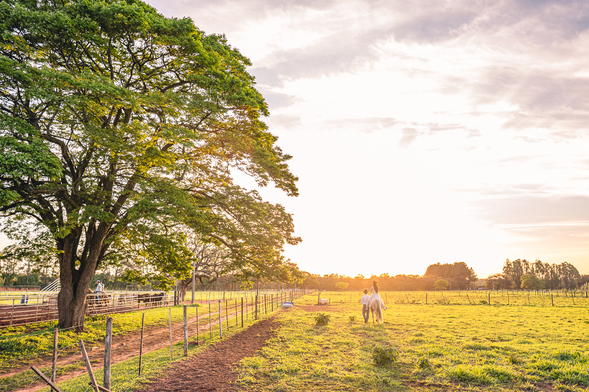 Ensaio pré-wedding country de Gabriela e Rafael em haras ao pôr do sol