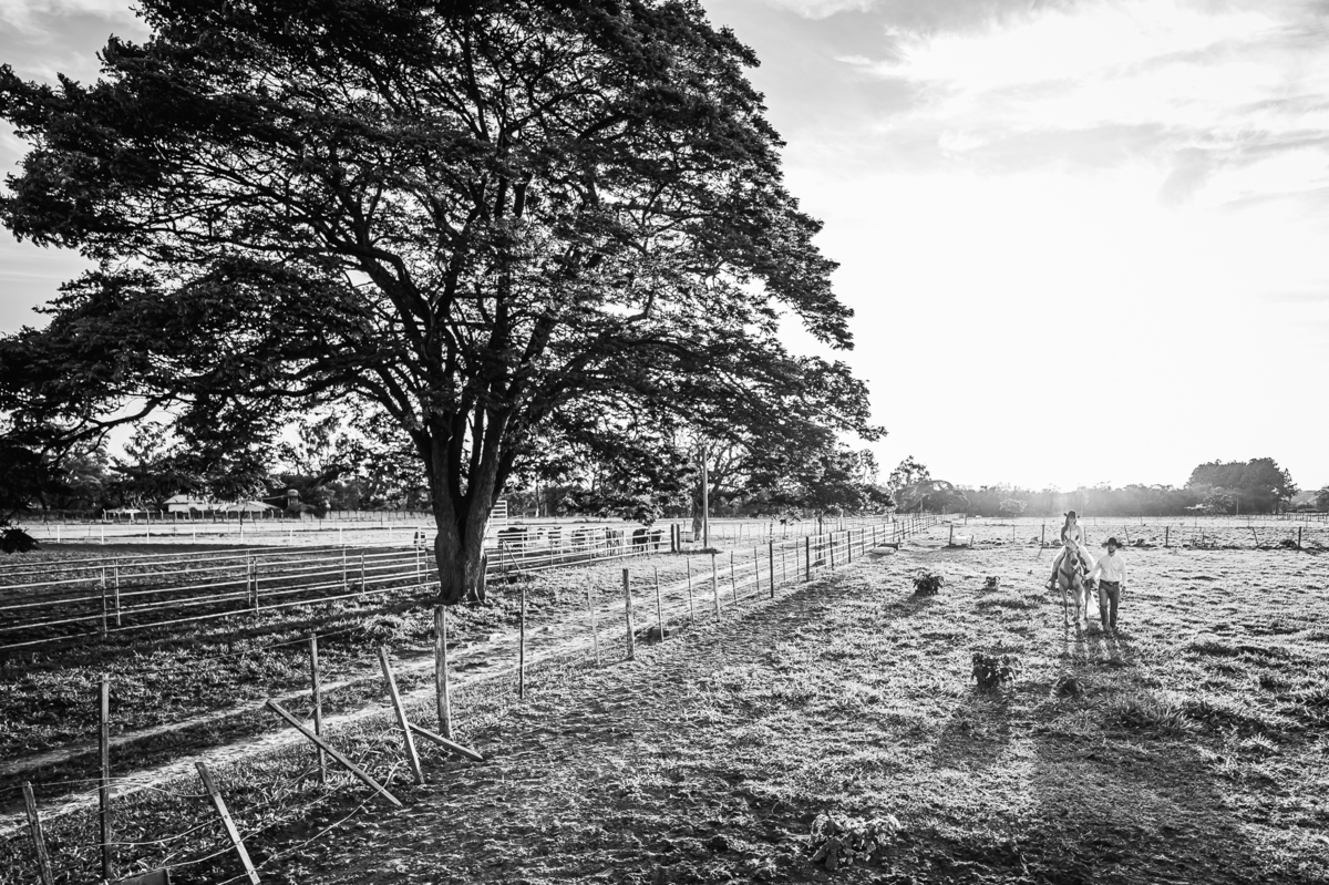 Ensaio pré-casamento country com cavalos e cenário natural