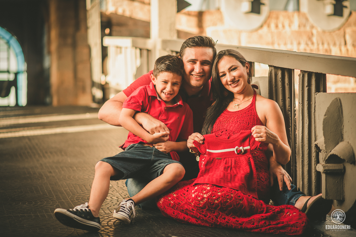 Ensaio de Gestante, Fotografia de Casamento, Castelo LaDorni, Vinícola, Bandeirantes, Paraná, Fotógrafo