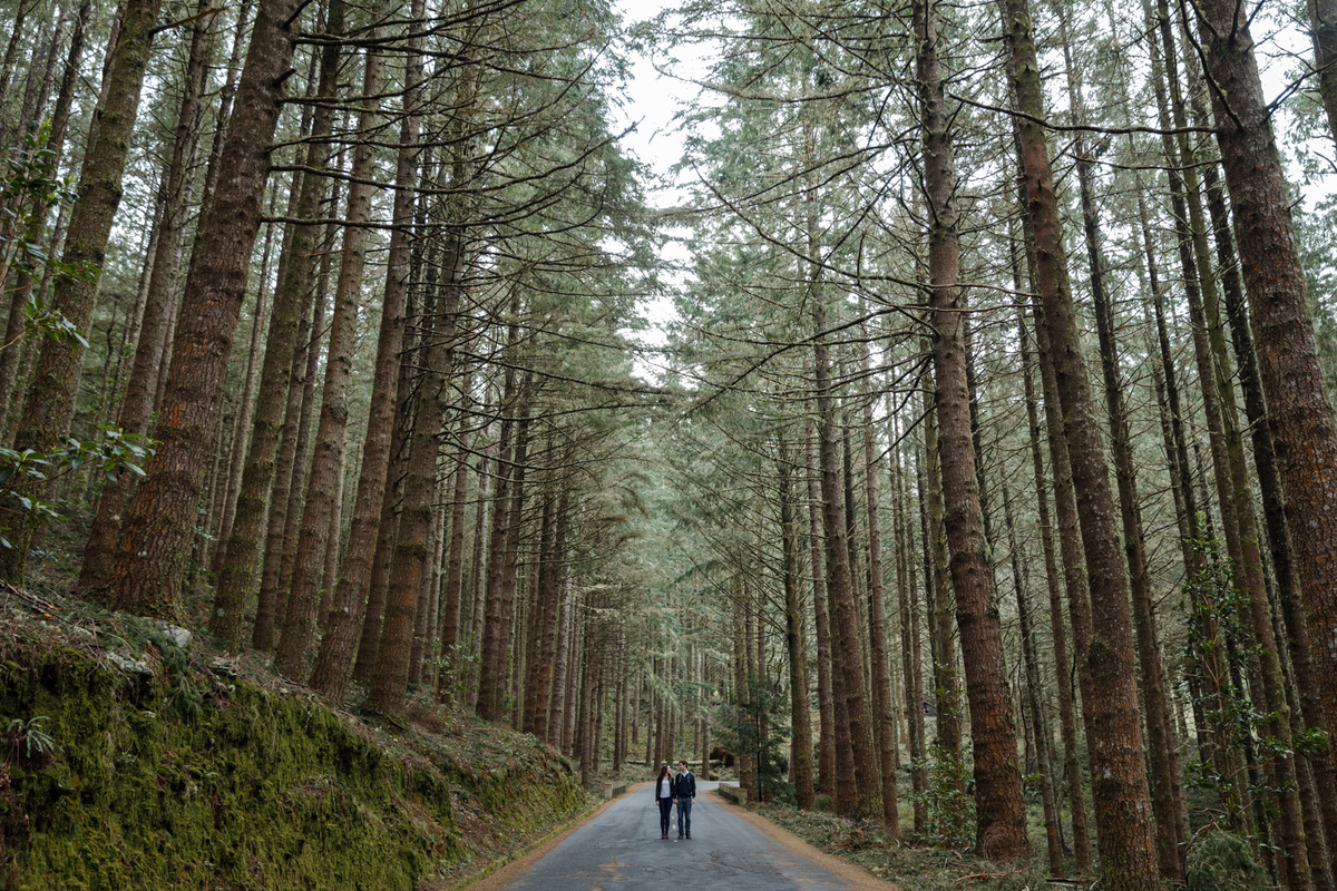 Sessao de solteiros ilha da madeira casamento quinta da Conceição, Azeitão, Setubal Portugal