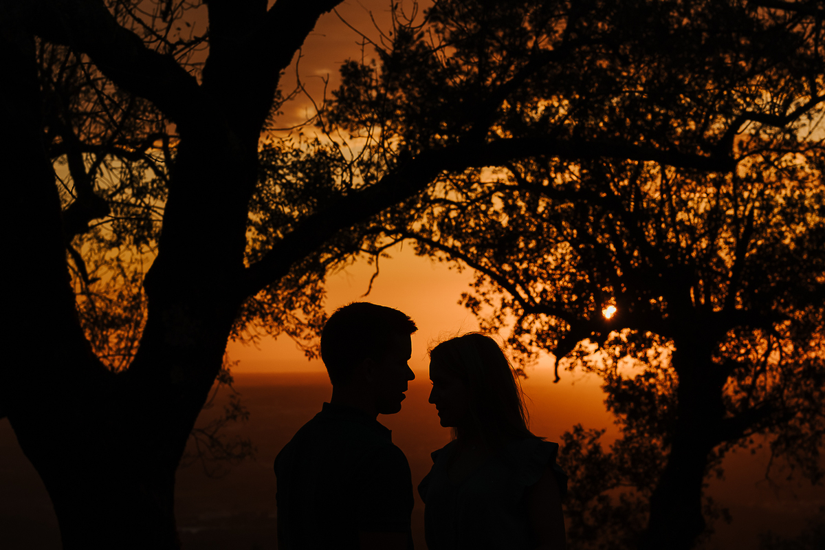 Sessão Solteiros da Ema e Fábio na Mata do Buçaco. Fotógrafo de casamentos em Cantanhede, Coimbra, Leiria, Aveiro.