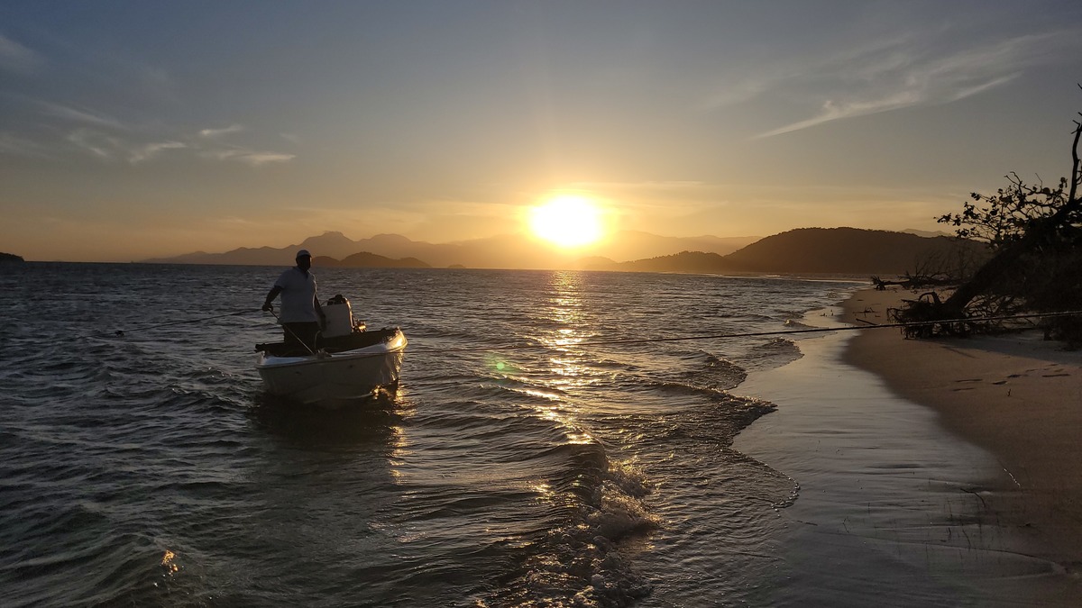 Restinga da Marambaia