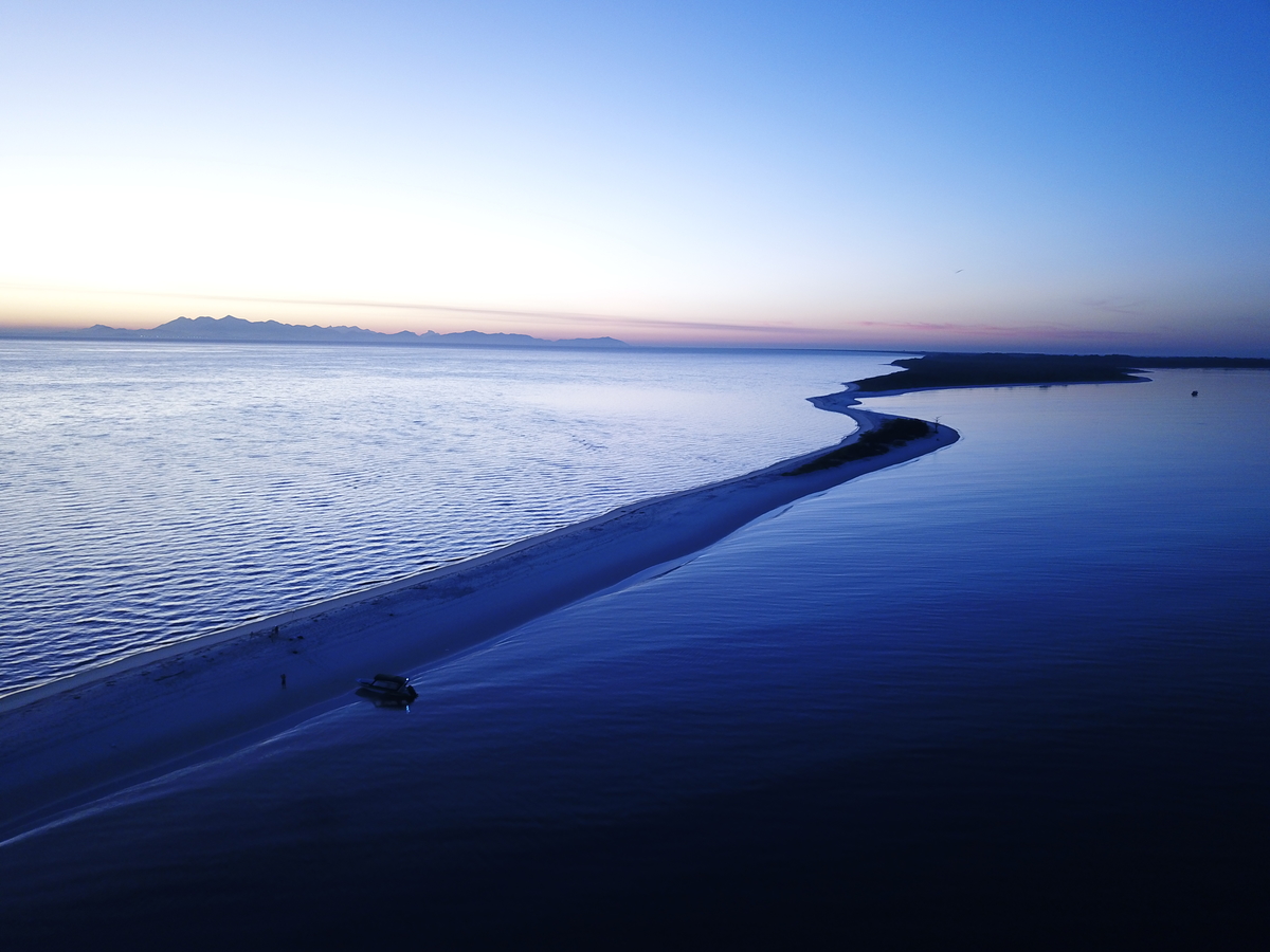 Restinga da Marambaia