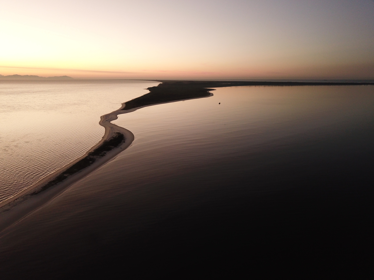 Restinga da Marambaia