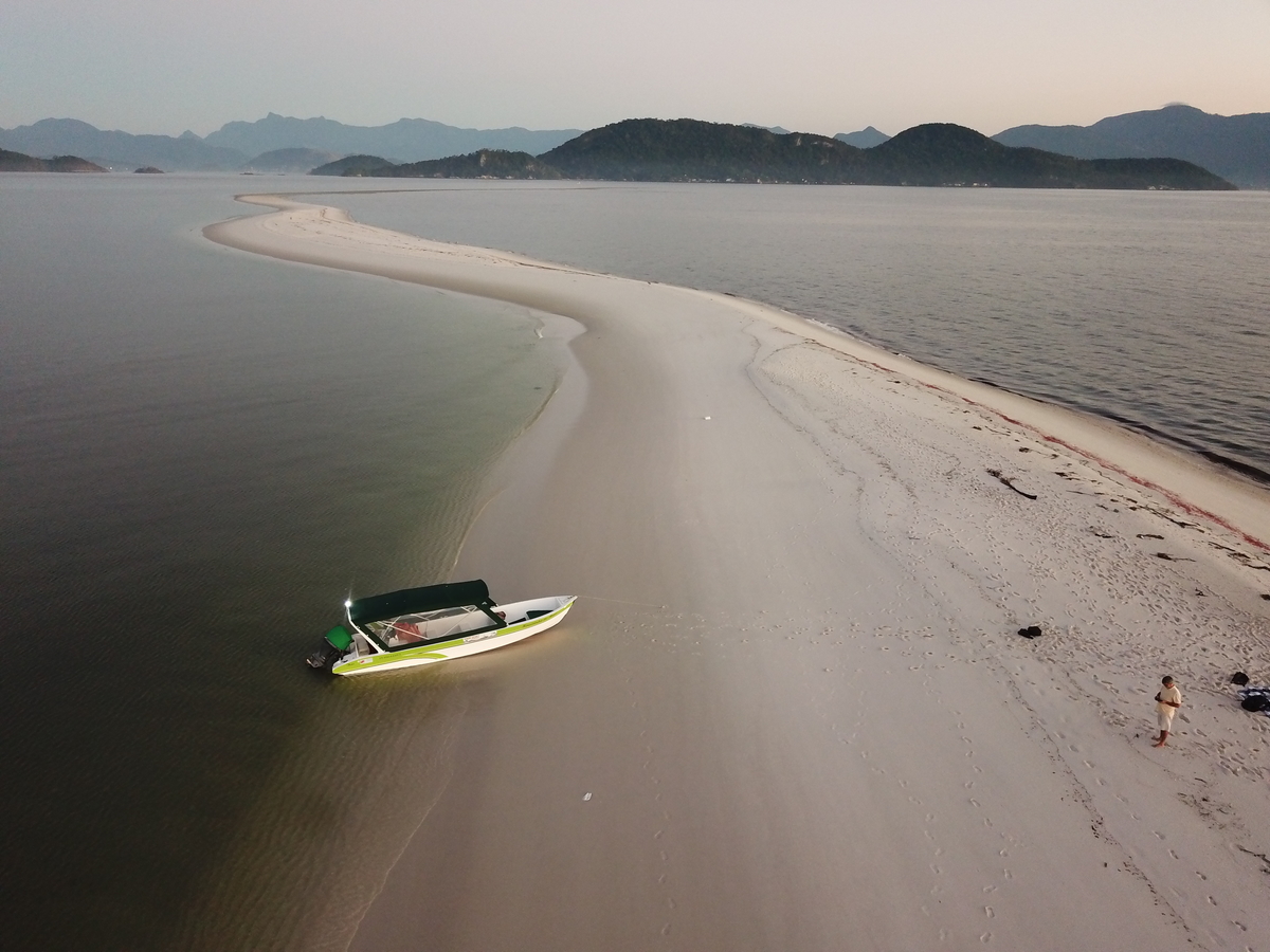 Restinga da Marambaia