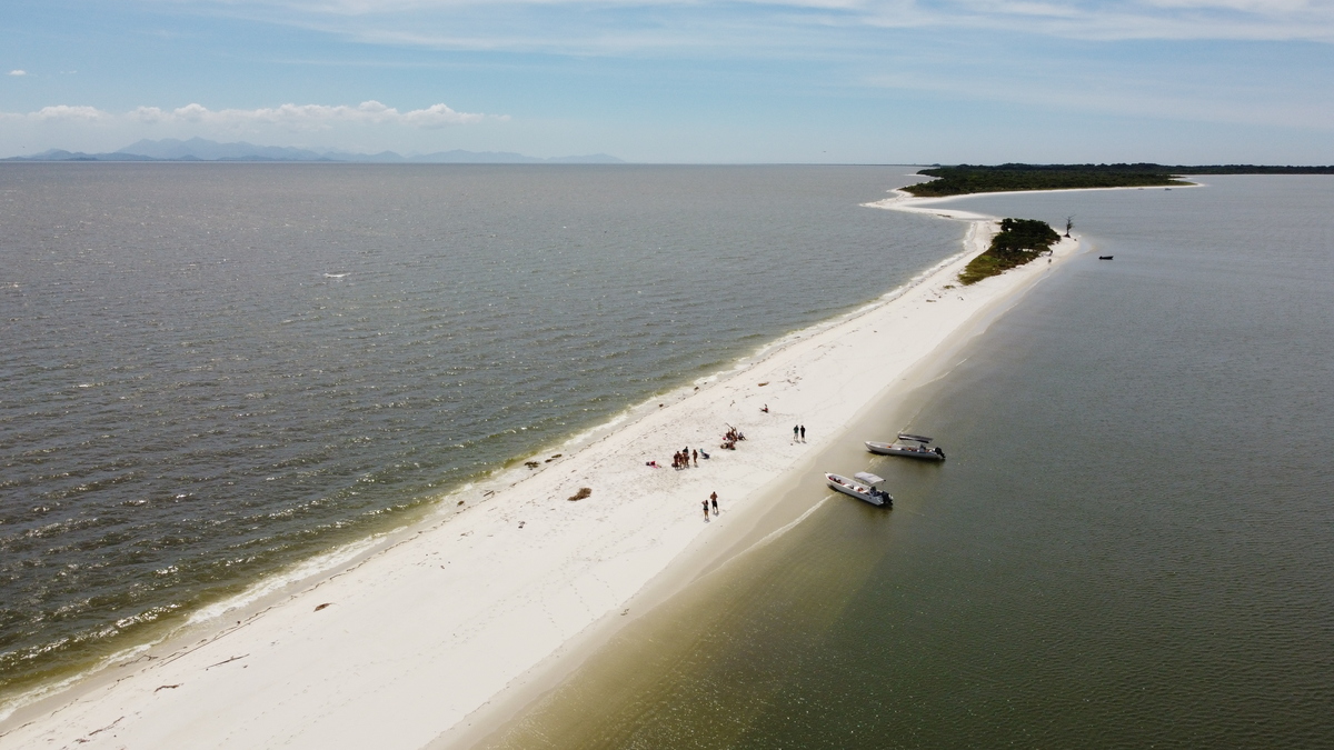 Restinga da Marambaia