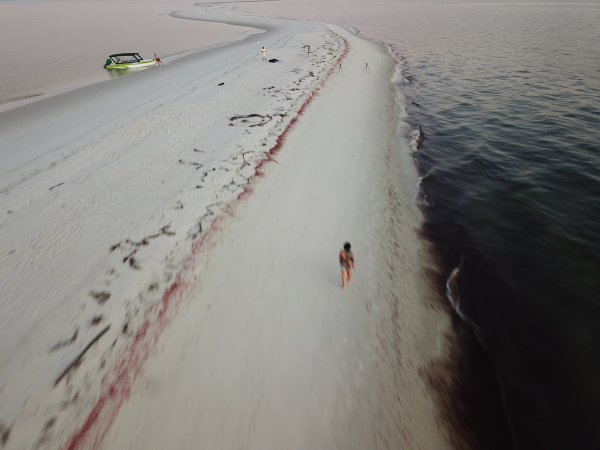 Restinga da Marambaia