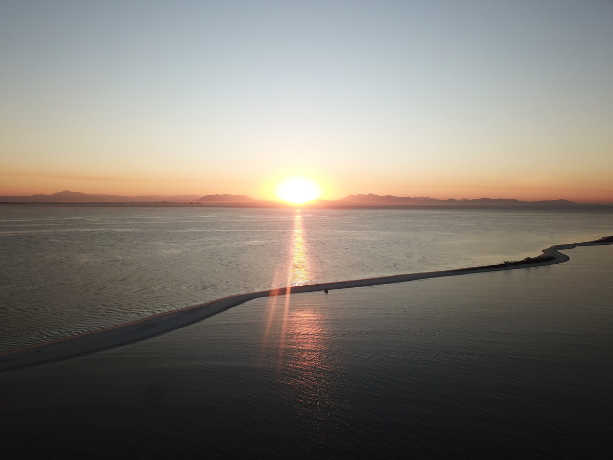 Restinga da Marambaia