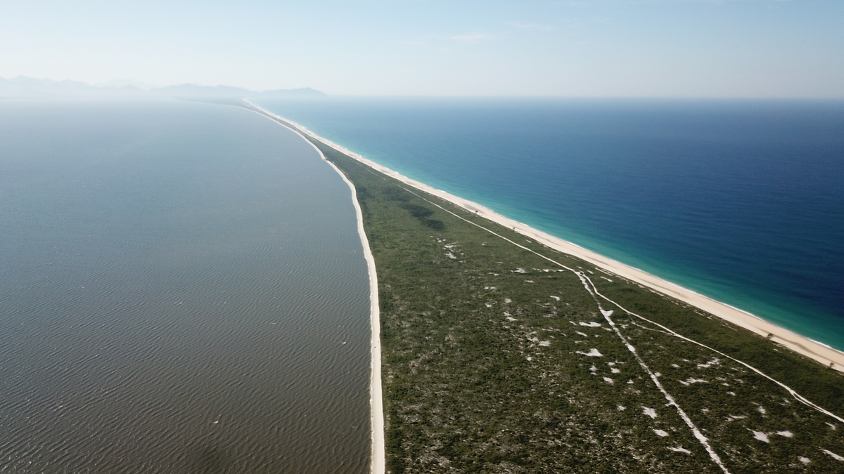 Restinga da Marambaia