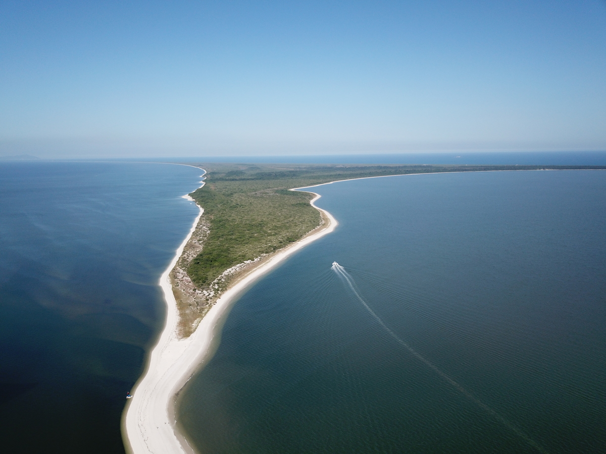 Restinga da Marambaia