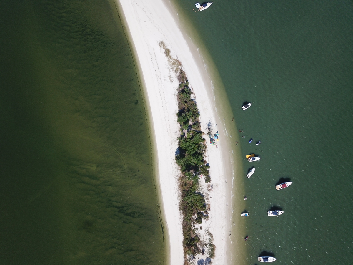 Restinga da Marambaia