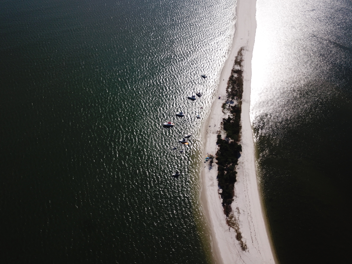 Restinga da Marambaia