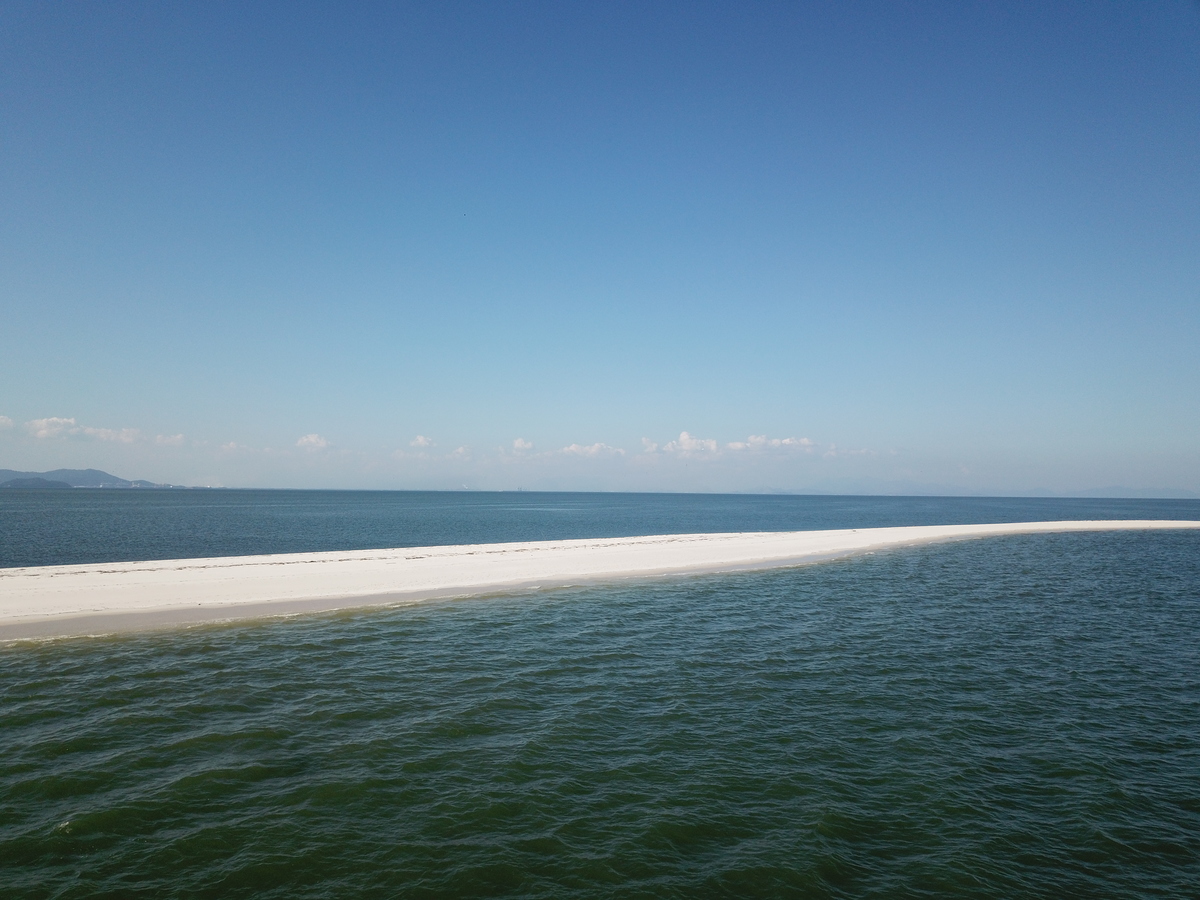 Restinga da Marambaia