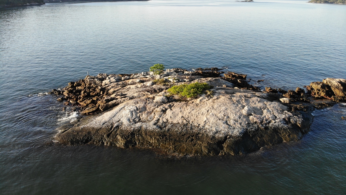 Ilhas Tropicais Mangaratiba
