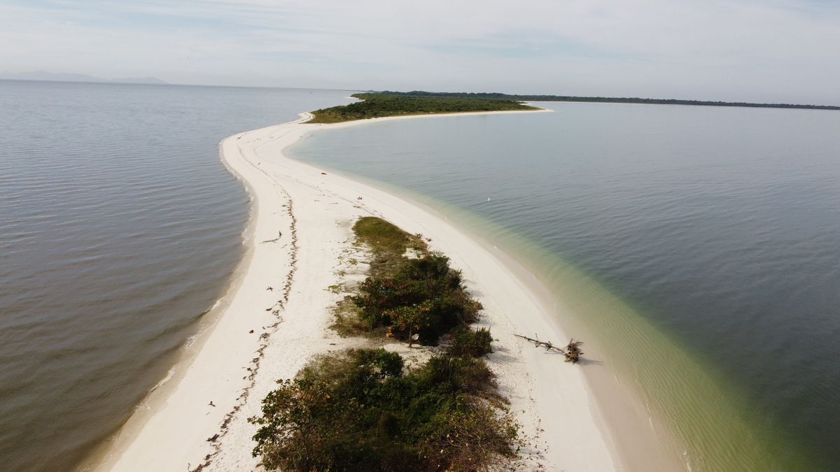 Restinga da Marambaia