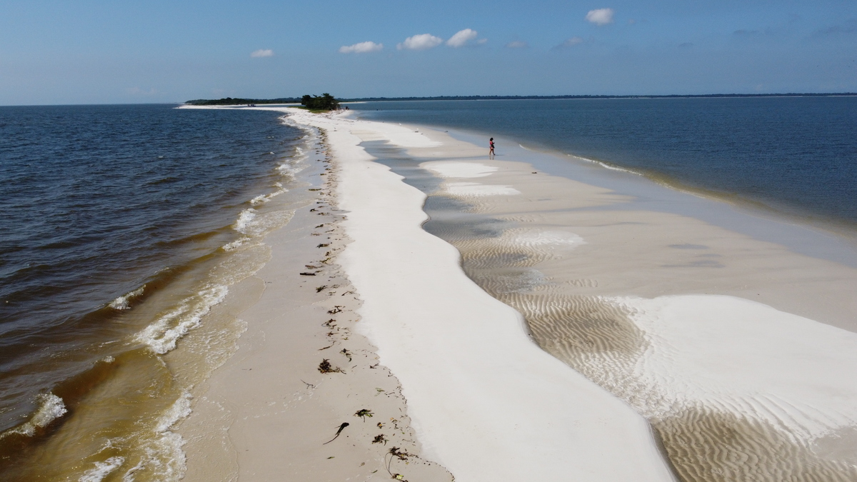 Restinga da Marambaia